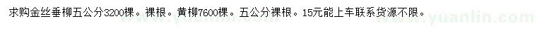 求购5公分金丝垂柳、黄柳