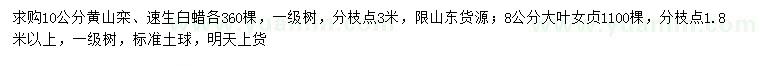 求购黄山栾、速生白蜡、大叶女贞