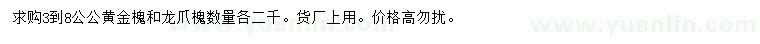 求购3-8公公黄金槐、龙爪槐