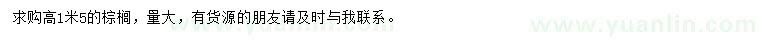 求购高1.5米棕榈