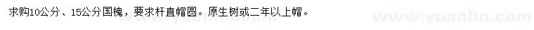 求购10、15公分国槐