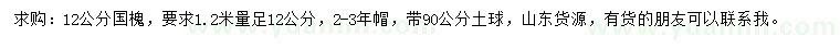 求购1.2米量12公分国槐