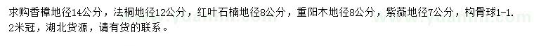 求购香樟、法桐、红叶石楠等