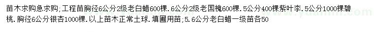 求购老白蜡、老国槐、紫叶李等