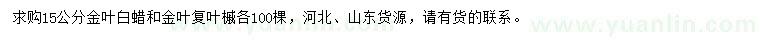 求购15公分金叶白蜡、金叶复叶槭