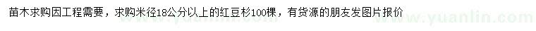 求购米径18公分以上红豆杉