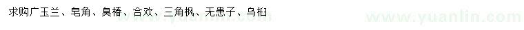 求购广玉兰、皂角、臭椿等