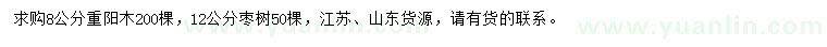 求购8公分重阳木、12公分枣树