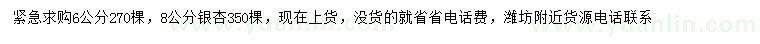 求购6、8公分银杏