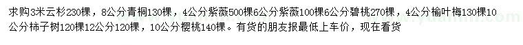 求购云杉、青桐、紫薇等