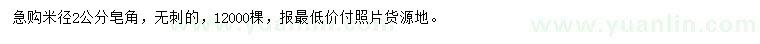 求购米径2公分皂角