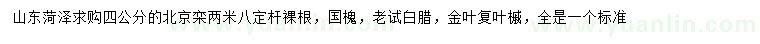 求购北京栾、国槐、老试白腊等