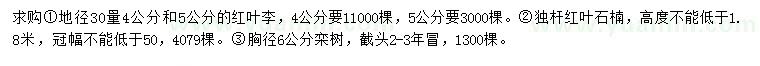 求购红叶李、红叶石楠、栾树