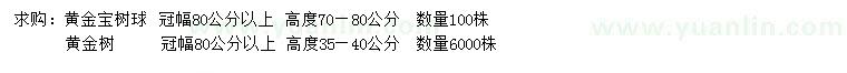 求购冠幅80公分以上黄金宝树球、黄金树 