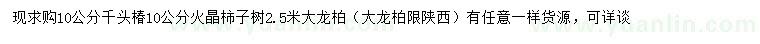 求购千头椿、火晶柿子树、大龙柏