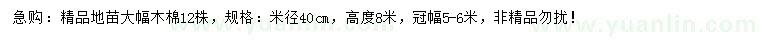 求购40公分精品大幅木棉地苗