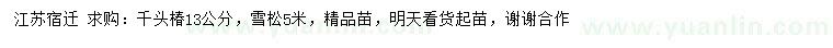 求购13公分千头椿、5米雪松
