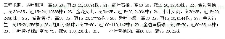 求购桃叶珊瑚、红叶石楠、金边黄杨等