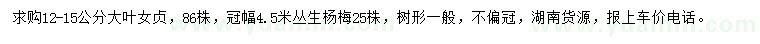 求购12-15公分大叶女贞、冠幅4.5米丛生杨梅