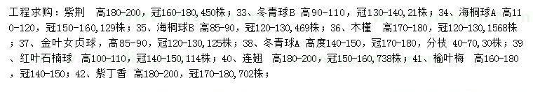 求购紫荆、冬青球、海桐球等