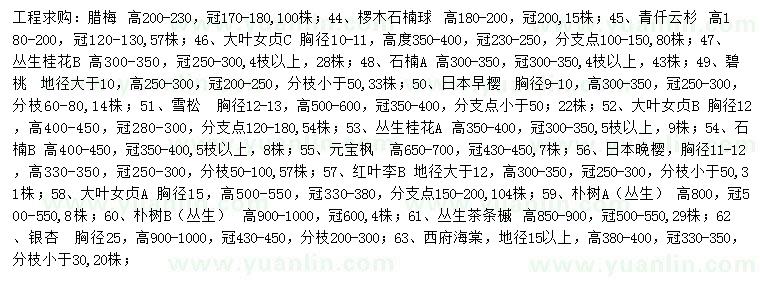 求购腊梅、椤木石楠球、青仟云杉等