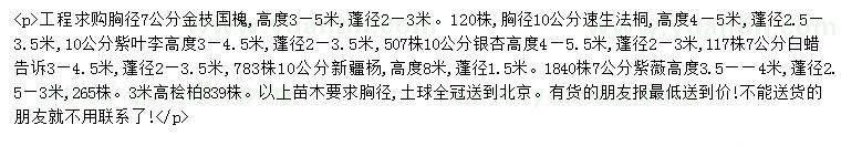 求购金枝国槐、速生法桐、紫叶李等