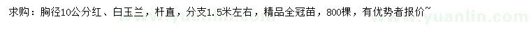 求购胸径10公分红、白玉兰