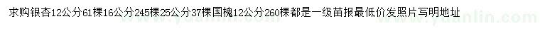 求购12、16、25公分银杏、12公分国槐