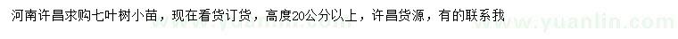 求购高20公分以上七叶树小苗
