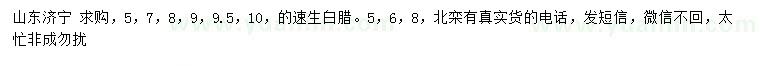 求购5、7、8、9、9.5、10公分速生白腊、5、6、8公分北栾