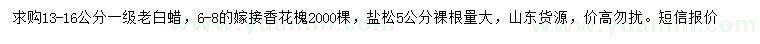 求购白蜡、香花槐、盐松