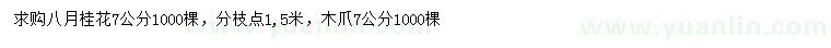 求购7公分八月桂花、木爪