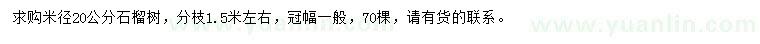 求购米径20公分石榴树