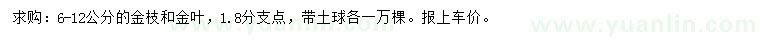 求购6-12公分金枝、金叶