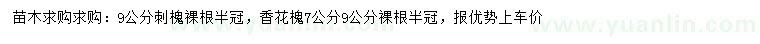 求购9公分刺槐、7、9公分香花槐