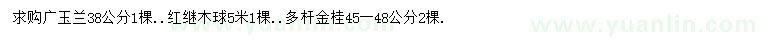 求购广玉兰、红继木、金桂