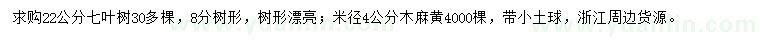 求购22公分七叶树、米径4公分木麻黄