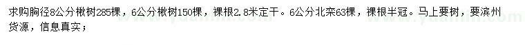 求购胸径6、8公分楸树、6公分北栾