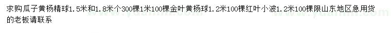 求购瓜子黄杨、金叶黄杨球、红叶小檗