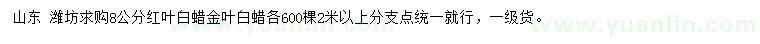 求购8公分红叶白蜡、金叶白蜡