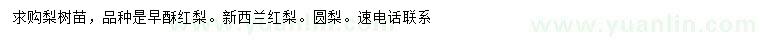 求购早酥红梨、新西兰红梨、圆梨