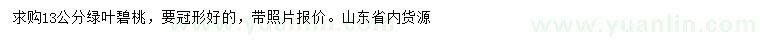 求购13公分红叶碧桃