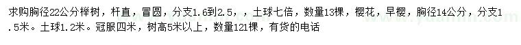 求购胸径22公分榉树、14公分樱花