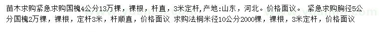 求购胸径4、5公分国槐、米径10公分法桐