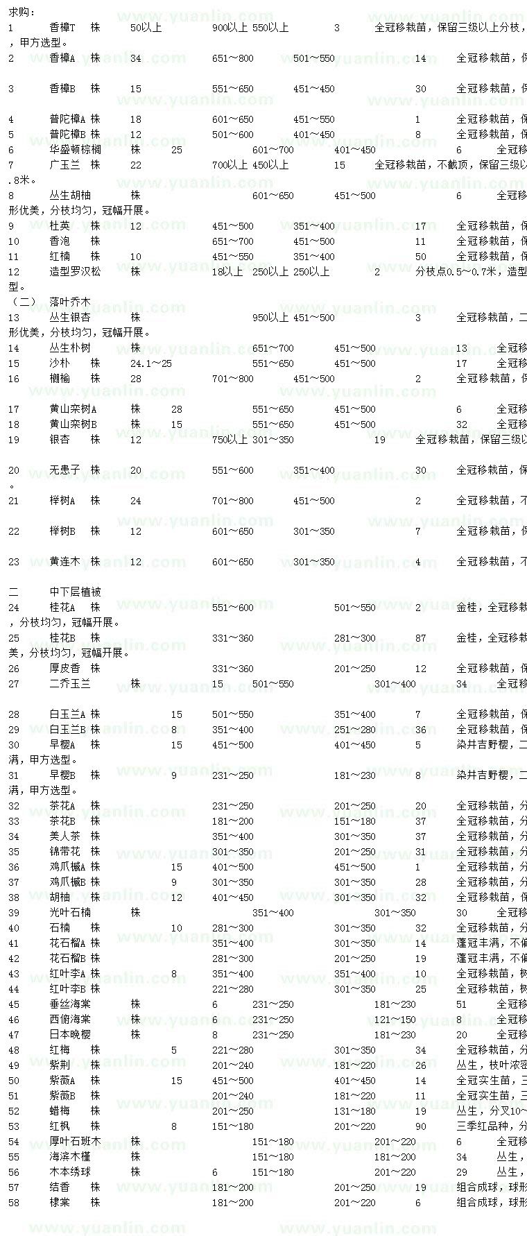 求购香樟、普陀樟、华盛顿棕榈等