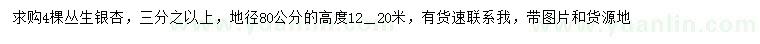 求购地径80公分丛生银杏