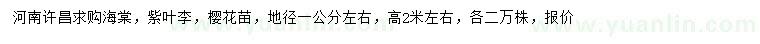 求购海棠、紫叶李、樱花苗