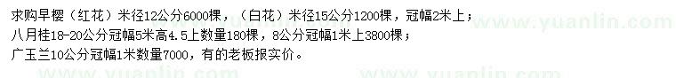 求购早樱、八月桂、广玉兰