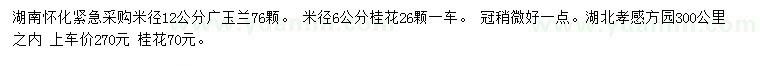求购米径12公分广玉兰、6公分桂花