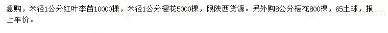 求购米径1公分红叶李苗、樱花、8公分樱花